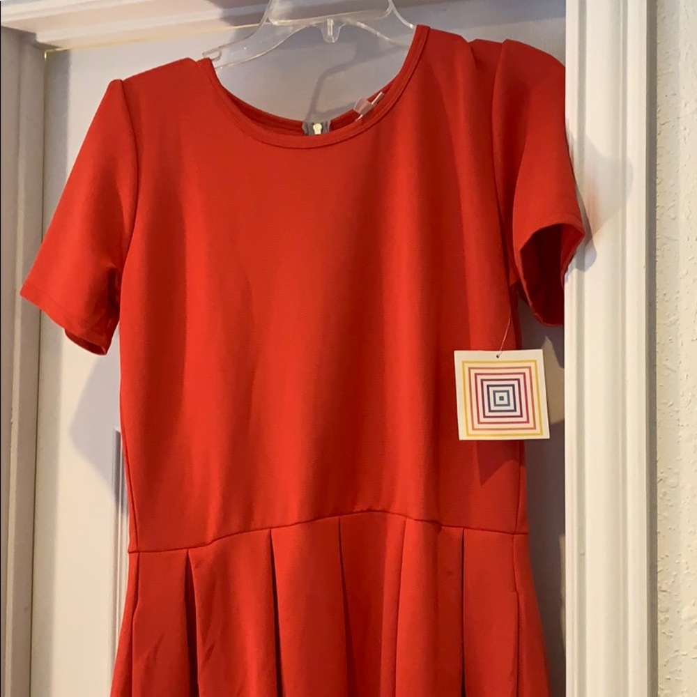 LulaRoe Amelia Size Large